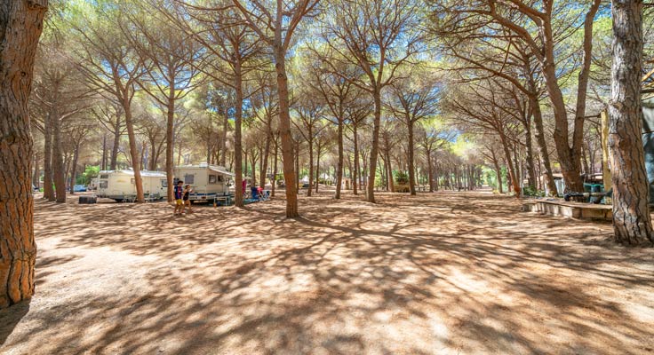 Emplacement dse camping pour tente, caravane ou camping car au camping Neptuno à Pals en Catalogne